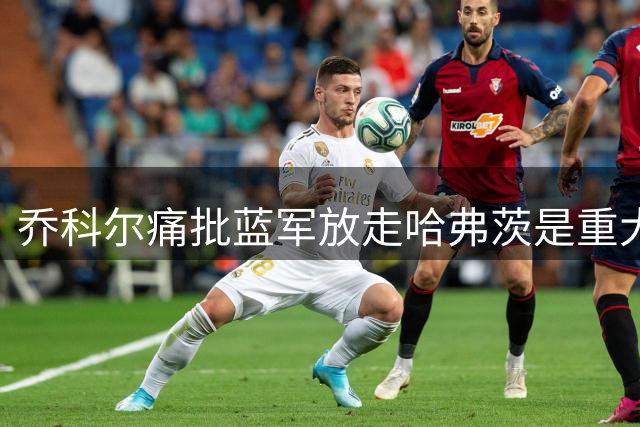 乔科尔痛批蓝军放走哈弗茨是重大失误